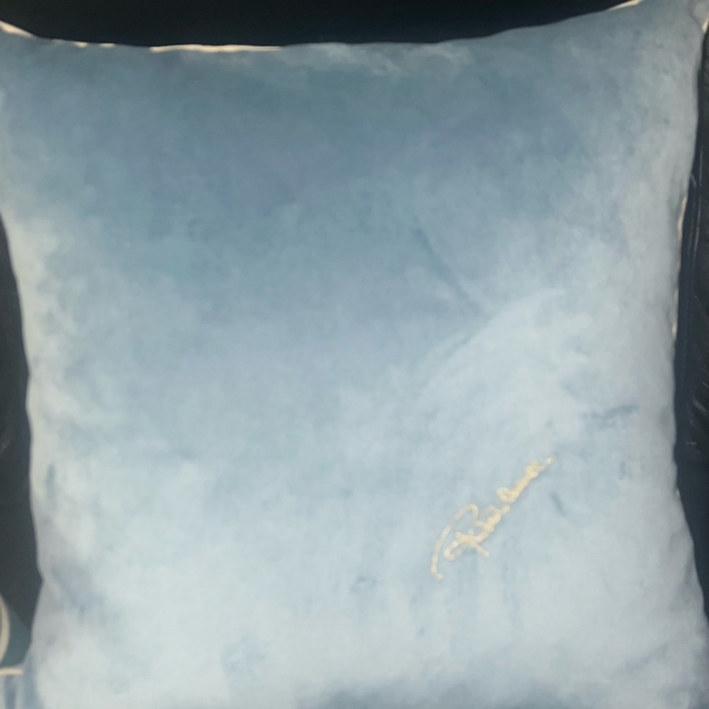 Authentic Roberto Cavalli Down Filled Throw Pillow Baby Blue 20”x20